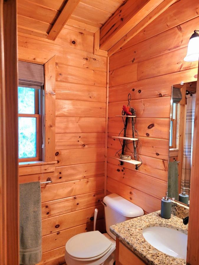 Luxury Cabin With Waterview And Privacy, Hiking Blue Ridge Eksteriør billede