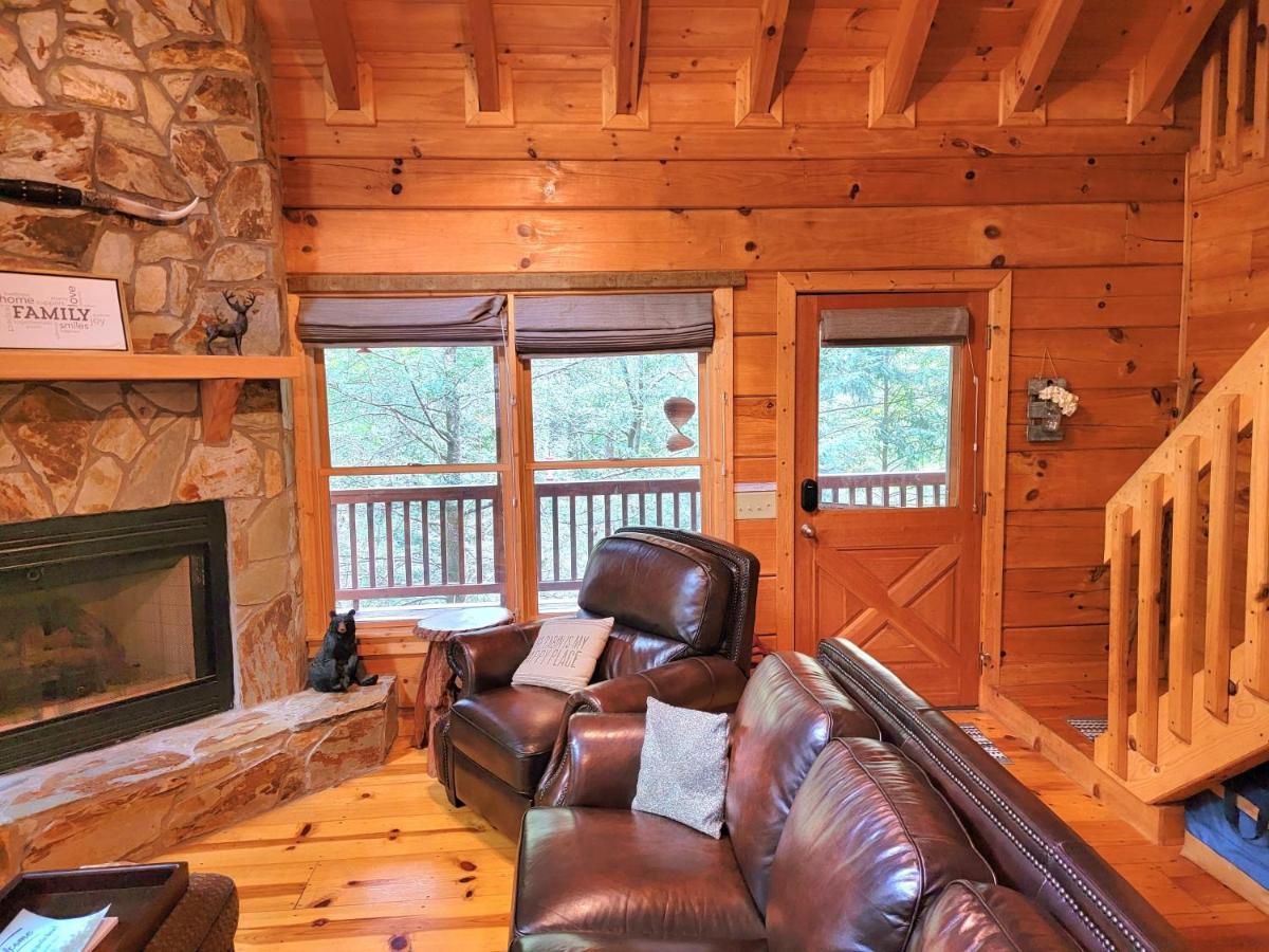 Luxury Cabin With Waterview And Privacy, Hiking Blue Ridge Eksteriør billede
