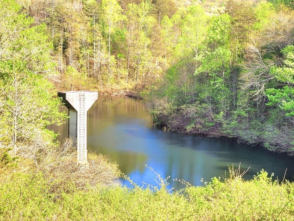 Luxury Cabin With Waterview And Privacy, Hiking Blue Ridge Eksteriør billede